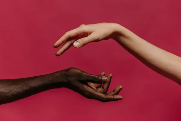 Cazino Slots Jungle Cazinou Suport